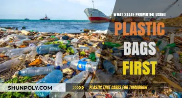 The Surprising Origin of Plastic Bag Usage in America