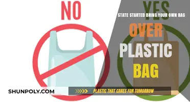 Pioneering Eco-Friendly Shopping: The State That Banned Plastic Bags First