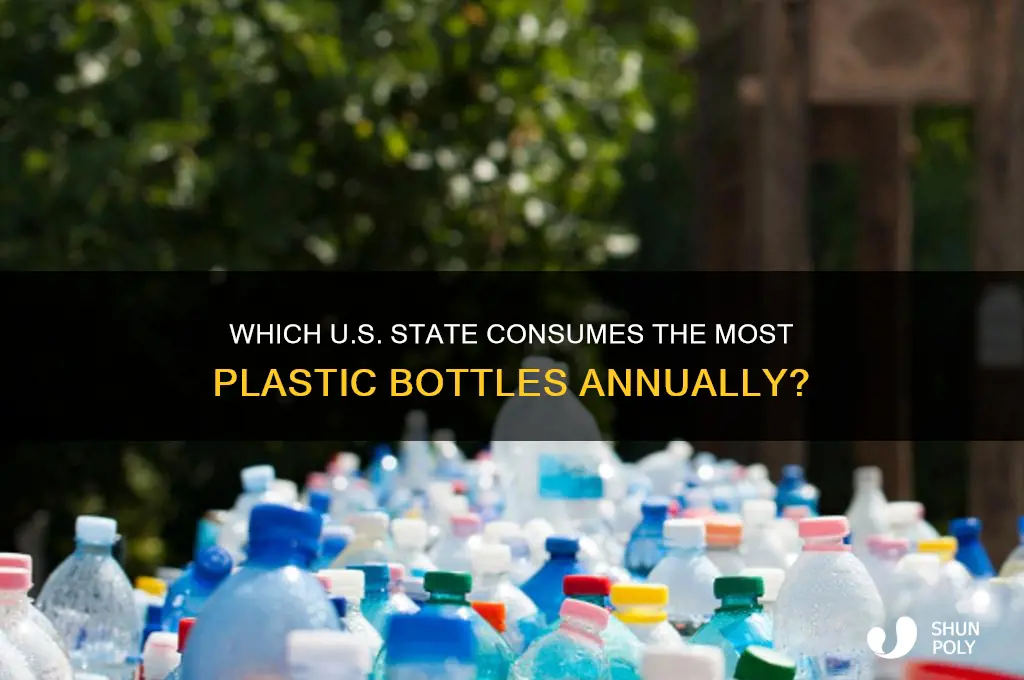 what state uses the most plastic bottles