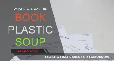 The Plastic Soup's Origin: A State of Pollution
