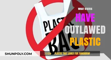 States Taking a Stand: The War on Plastic Bags