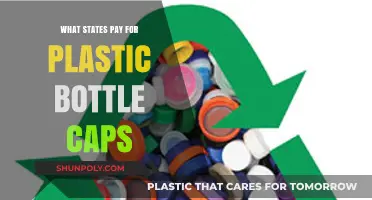 States Recycling Rewards: Which Ones Pay for Plastic Bottle Caps?