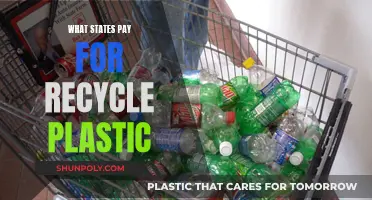 Which States Financially Reward Plastic Recycling Efforts?