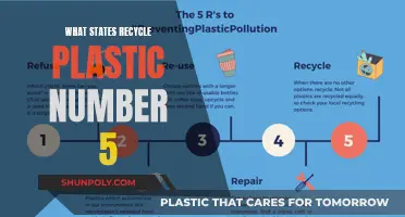 Recycling Plastic Number 5: Which States Are Leading the Way?