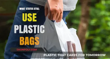 Plastic Bag Usage: Which States Haven't Banned Them Yet?