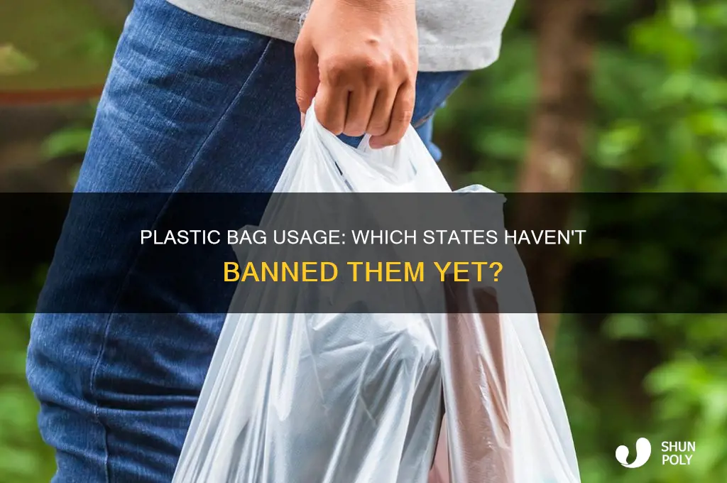 what states still use plastic bags