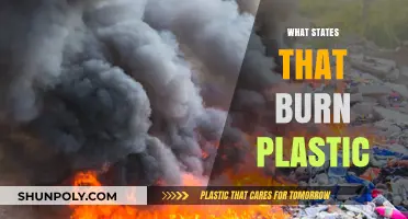 States Ablaze: The Controversial Practice of Plastic Incineration