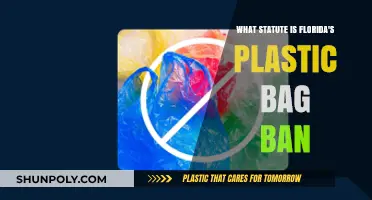 Florida's Plastic Bag Ban: Understanding the Statute and Its Impact