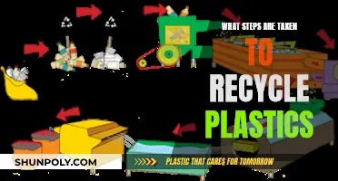 The Journey of Plastic: From Waste to Recycle