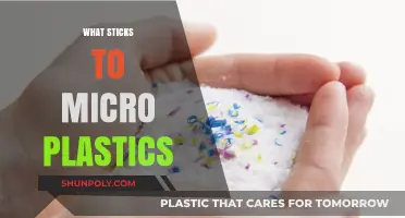 Unseen Bonds: Exploring What Sticks to Microplastics in Our Environment