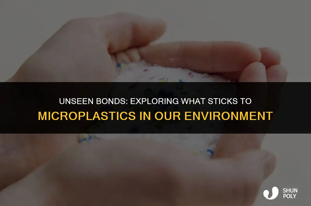 what sticks to micro plastics