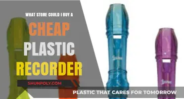 Affordable Plastic Recorder Shopping Guide: Best Stores for Budget Buys