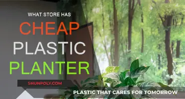 Affordable Plastic Planters: Where to Buy on a Budget