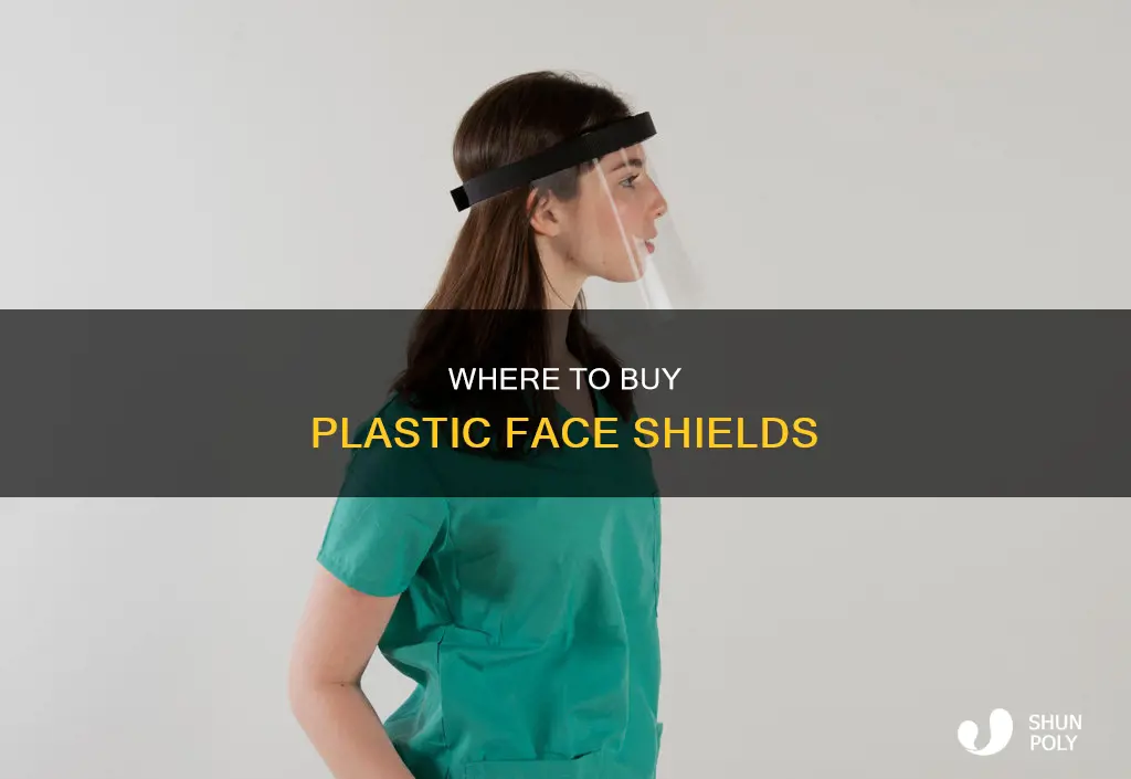what stores sell plastic face shields