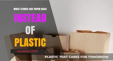 Eco-Friendly Shopping: Stores Choosing Paper Bags Over Plastic