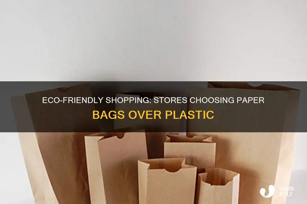 what stores use paper bags instead of plastic