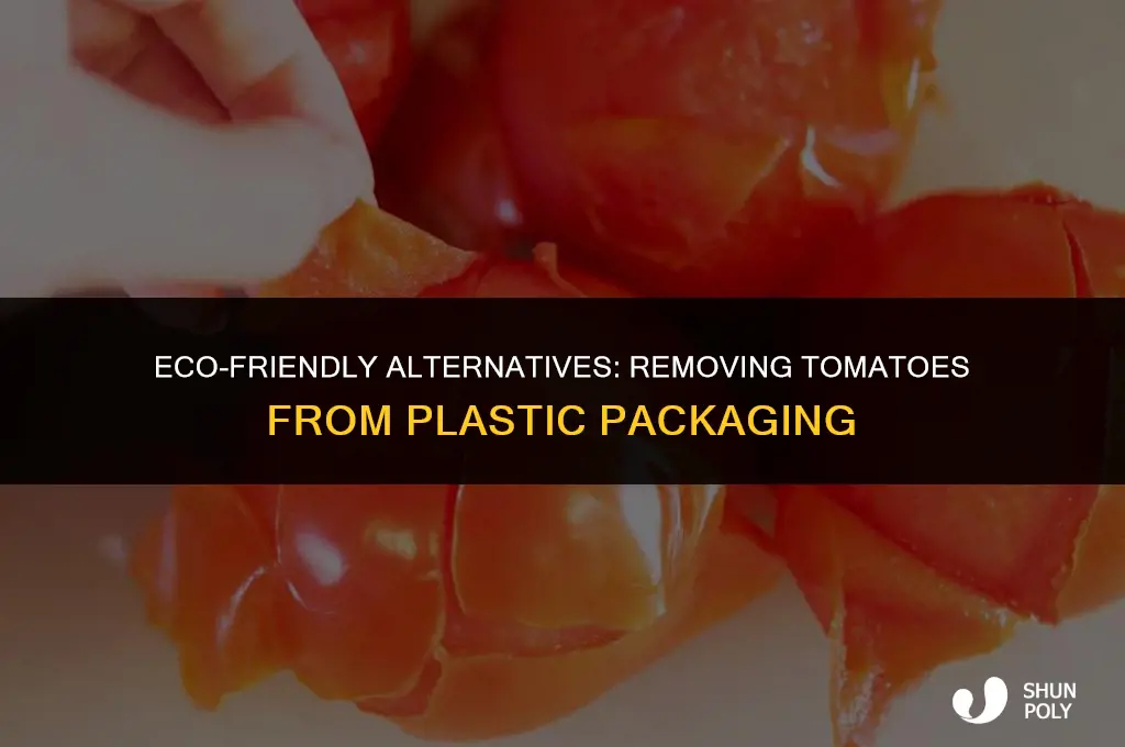 what take tomato off plastic