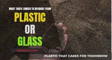 Comparing Degradation Rates: Foam Plastic vs. Glass