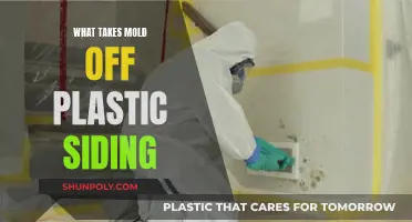Effective Solutions to Remove Mold from Plastic Siding