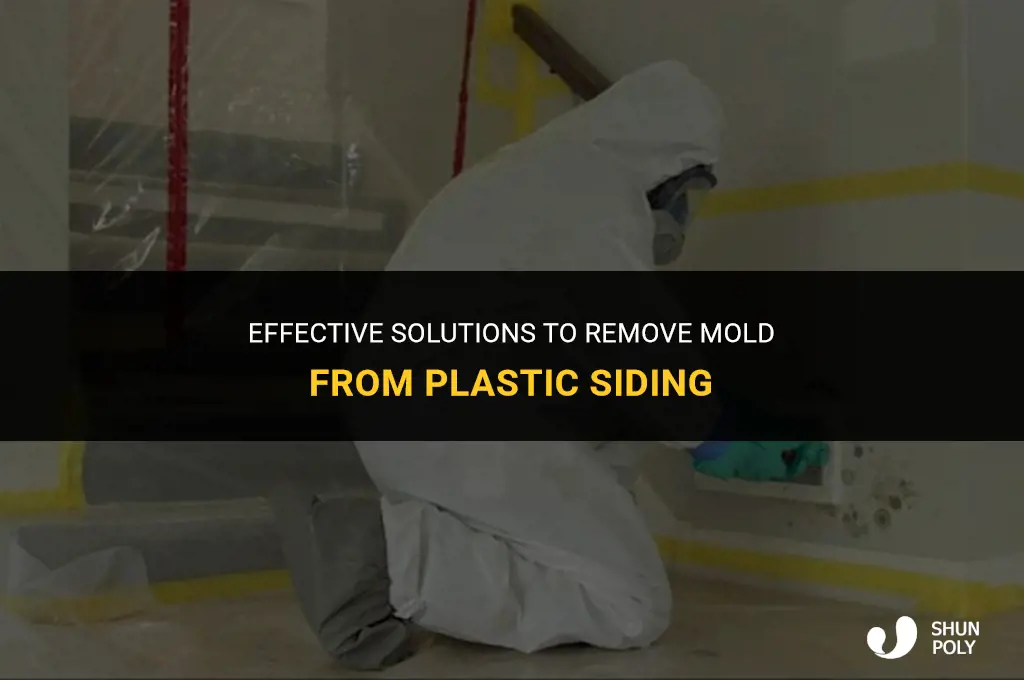 what takes mold off plastic siding