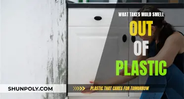Effective Ways to Eliminate Mold Odor from Plastic Items