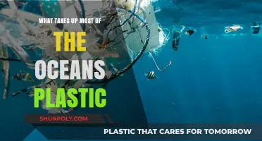 Unveiling the Hidden Culprits: What Really Clogs Our Oceans with Plastic