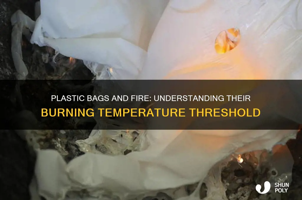what temperature does a plastic bag burn at