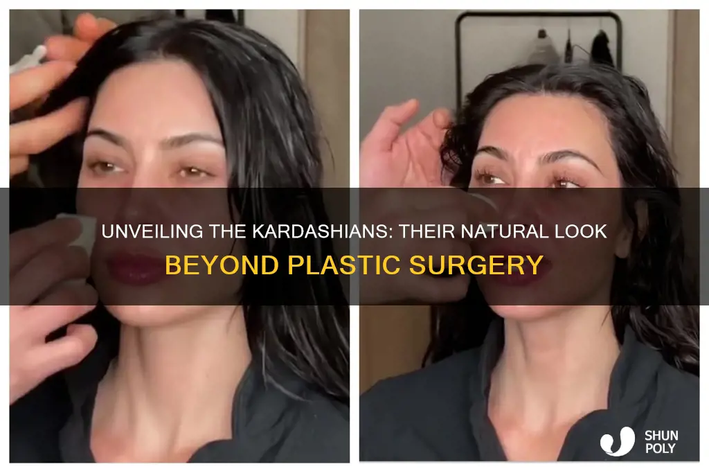 what the kardashians would look like without plastic surgery