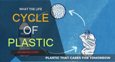 Plastic's Journey: From Cradle to Grave
