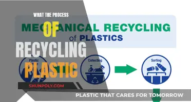 The Journey of Plastic: From Trash to Treasure