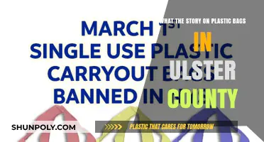 Ulster County's Plastic Bag Ban: The Story Behind the Change