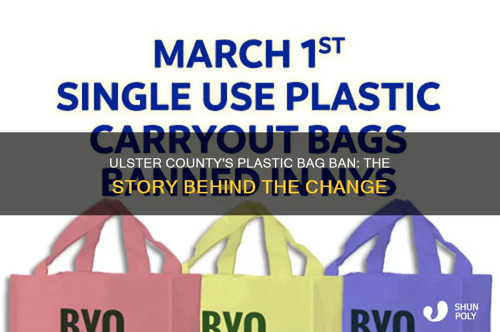 what the story on plastic bags in ulster county