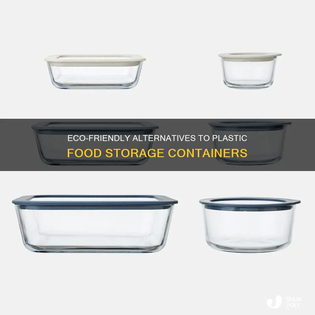 what to buy instead of plastic food storage containers