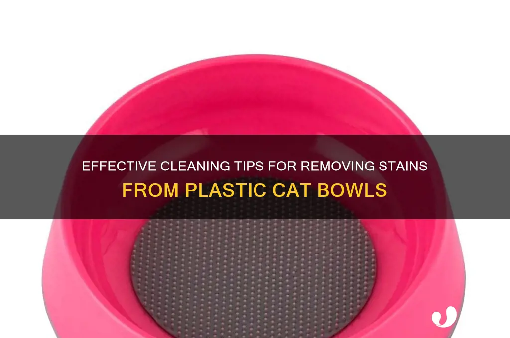 what to clean a plastic cat bowl with stains