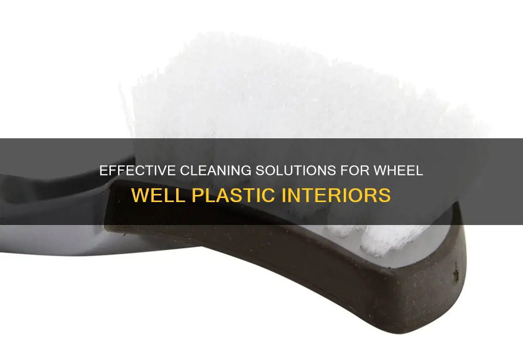 what to clean inside of wheel wheel plastic with