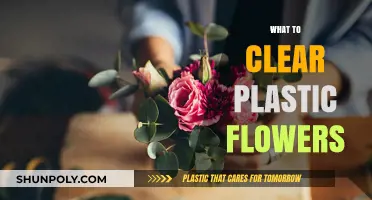 How to Clean and Maintain Clear Plastic Flowers for Lasting Beauty