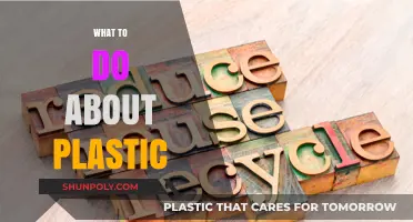 Combatting Plastic Pollution: Practical Steps for a Sustainable Future