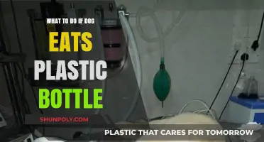 Dog Ate Plastic Bottle? Immediate Steps to Ensure Your Pet's Safety