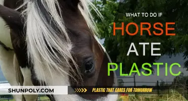 Horse Ate Plastic? Here's What to Do