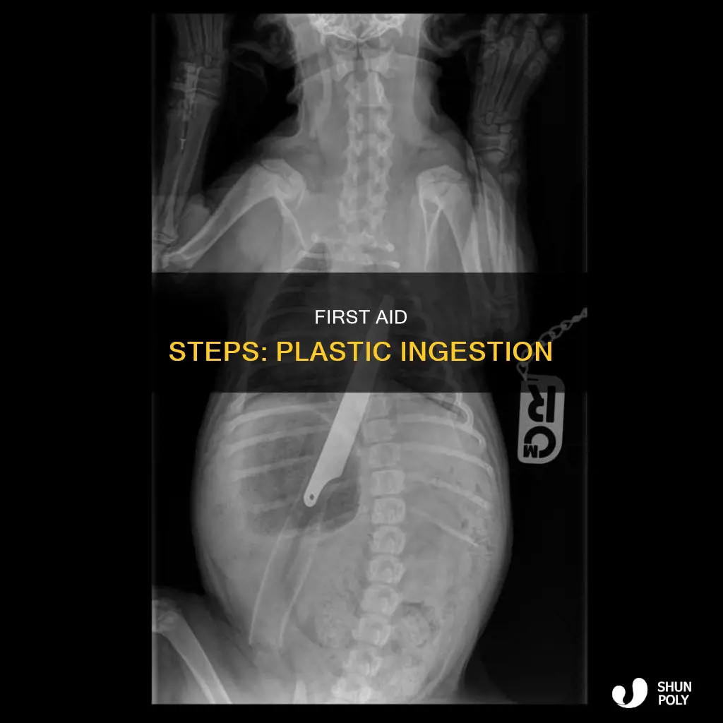 what to do if swallowed plastic