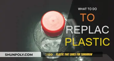 Innovative Solutions to Replace Plastics in Our Daily Lives