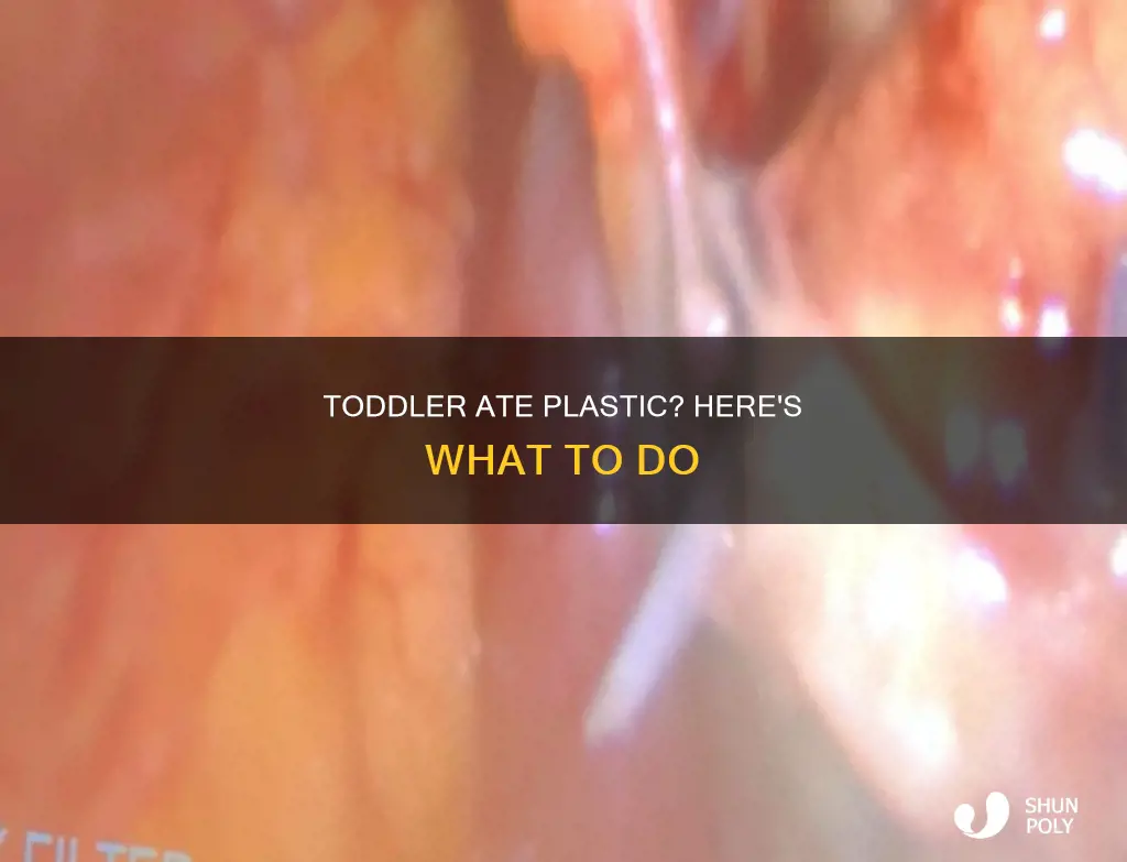 what to do when toddlerneats plastic