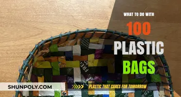 Creative Ways to Repurpose and Recycle 100 Plastic Bags Sustainably