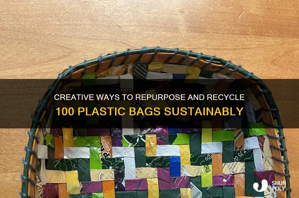 what to do with 100 plastic bags