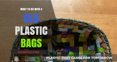 Creative Ways to Reuse and Recycle Old Plastic Bags at Home