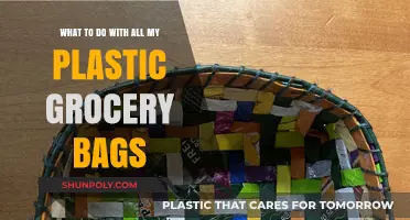 Creative Ways to Reuse and Recycle Your Plastic Grocery Bags