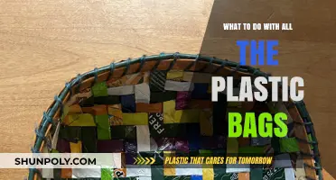 Creative Ways to Reuse, Recycle, and Reduce Plastic Bag Waste