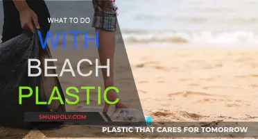 Transforming Beach Plastic: Creative Solutions for a Cleaner Planet