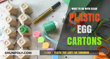 Creative Reuse Ideas for Clear Plastic Egg Cartons
