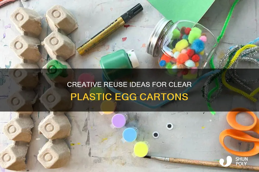 what to do with clear plastic egg cartons